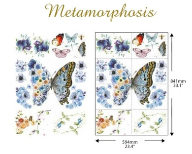 A1 Transfer - Metamorphosis